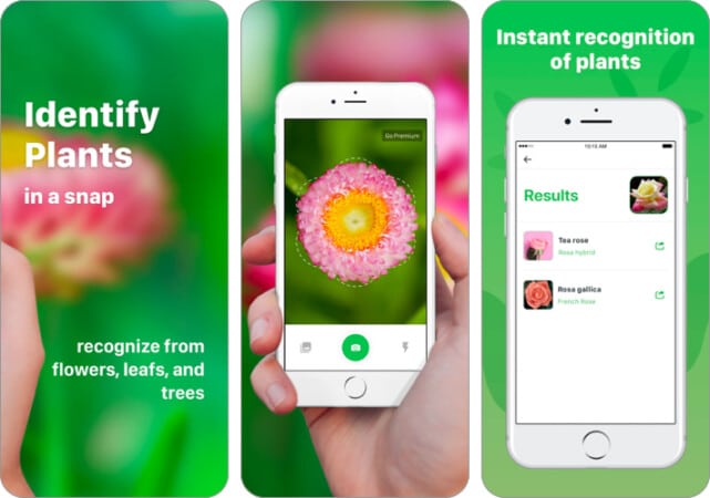 Plant Identification ++ app for iPhone