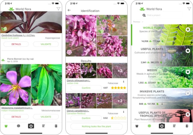 PlantNet iPhone plant identifier app