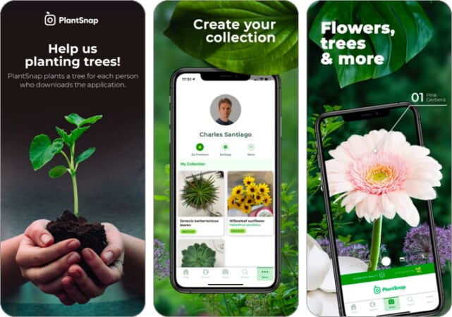 PlantSnap plant identifier app for iPhone