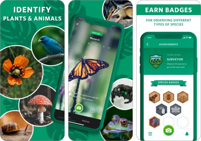 Seek by iNaturalist plant identifier app iPhone
