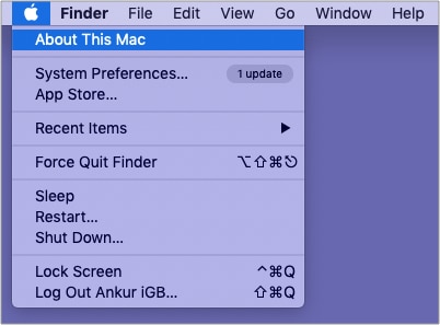 Click Apple logo from top left and choose About This Mac