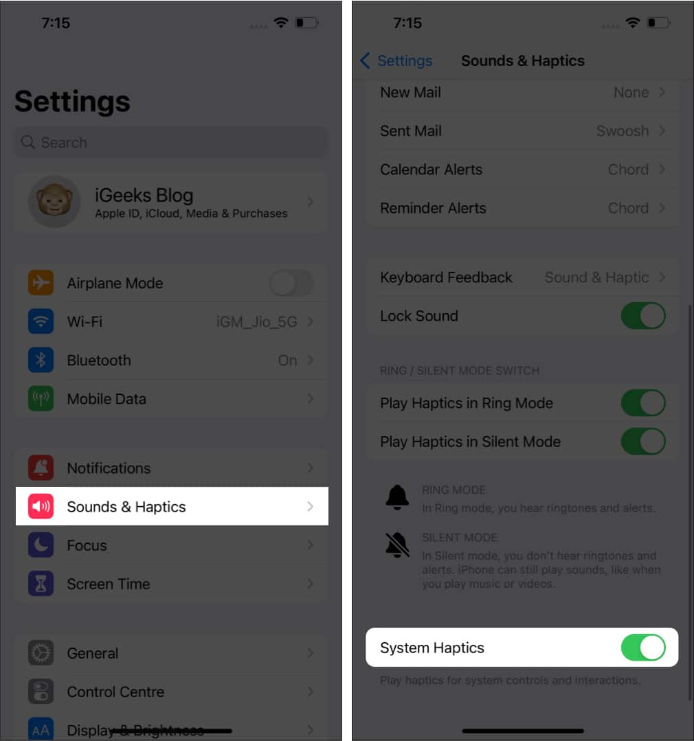 disable system haptics on iPhone