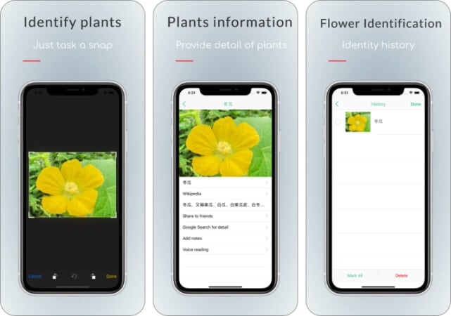 iplant plant identifier app iPhone