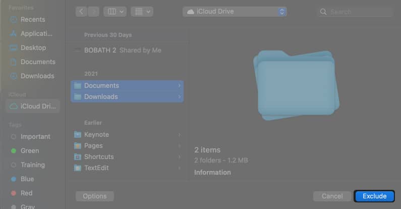 Exclude large files on Mac