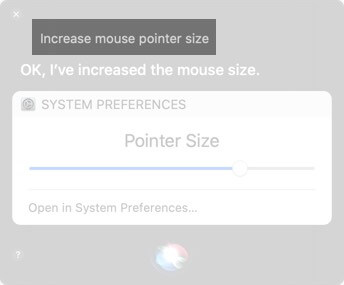 Ask Siri to Increase Mouse Pointer Size on Mac