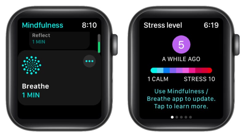 Check your current stress level in StressFace app on Apple Watch
