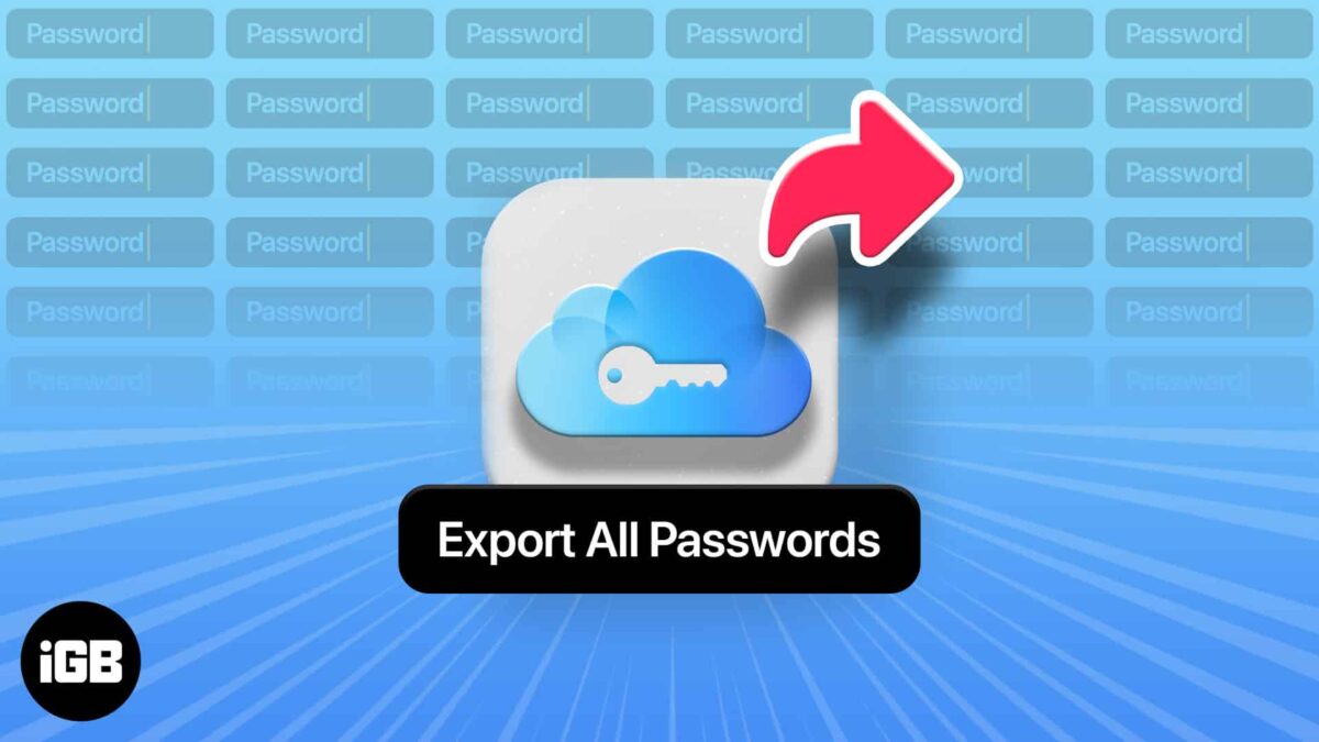 Export passwords from icloud keychain