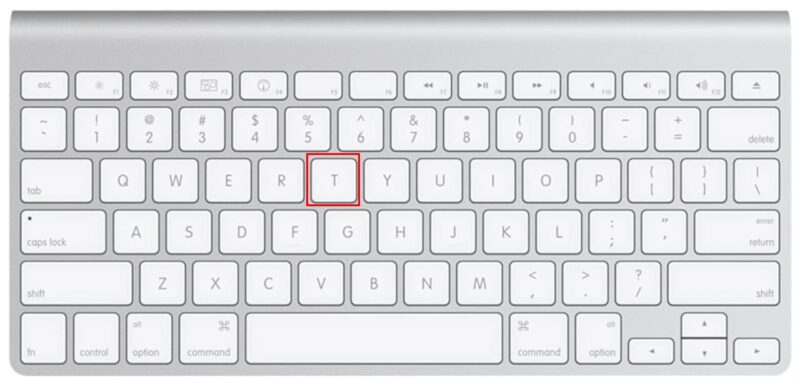 Press and Hold T on a MacBook while restarting