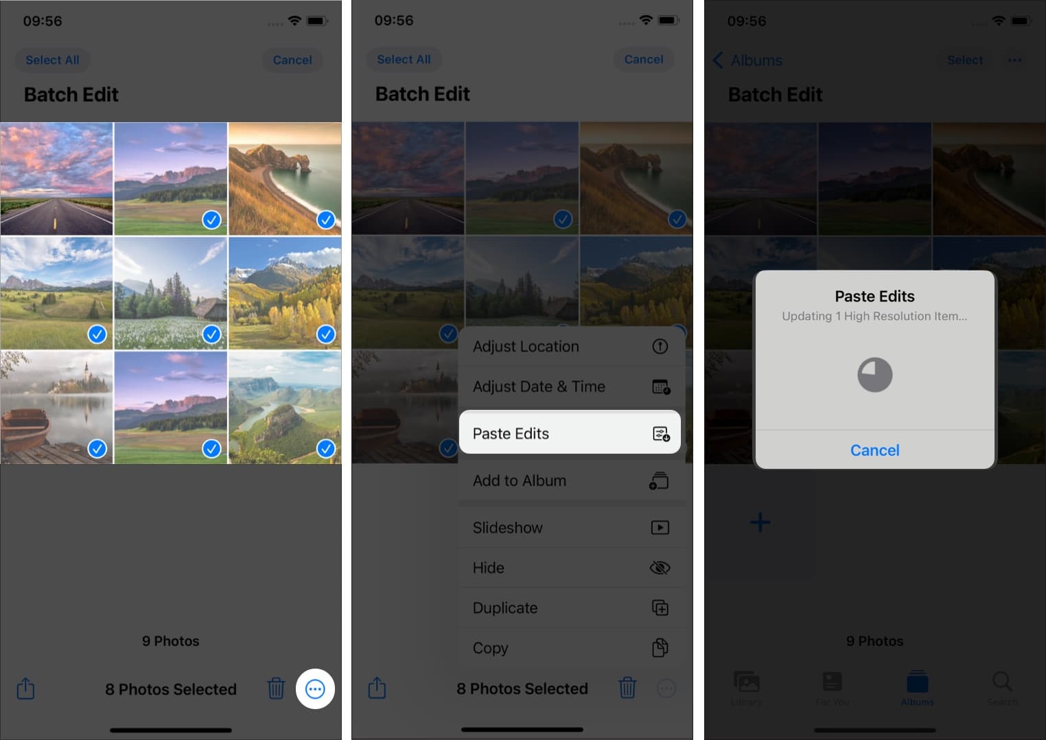 Steps to Select Photos and paste Edits on an iPhone