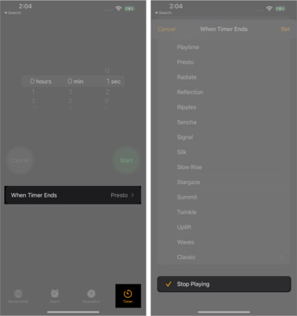 Select Stop Playing in Clock app on iPhone