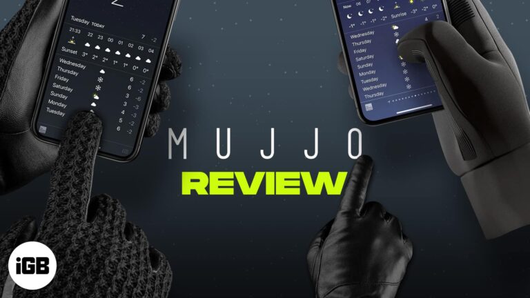 Touchscreen Gloves from Mujjo  (leather and insulated)