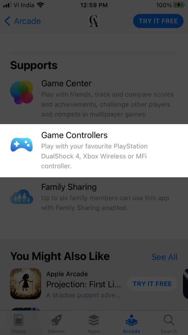 Check Game Controller Support from Support Section in Apple Arcade Game on iPhone