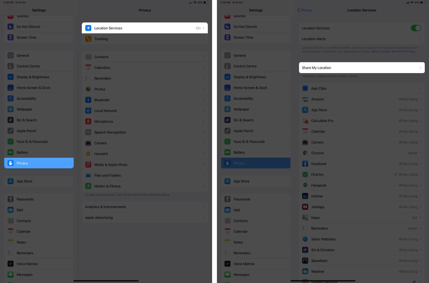 tap-on-privacy-select-location-services-and-then-tap-on-share-my-location-in-settings-on-ipad