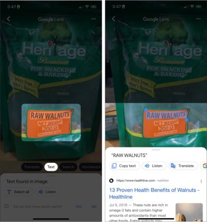 Extract Text from Google Lens on iPhone