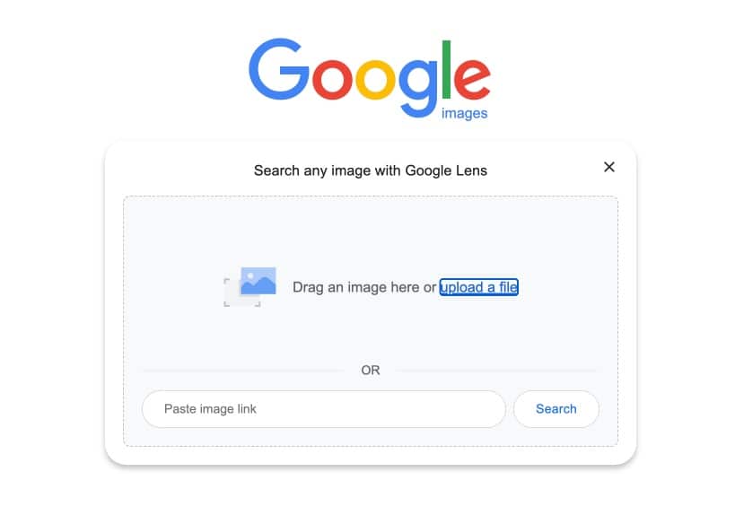 Download Google Lens For Mac and Windows PC