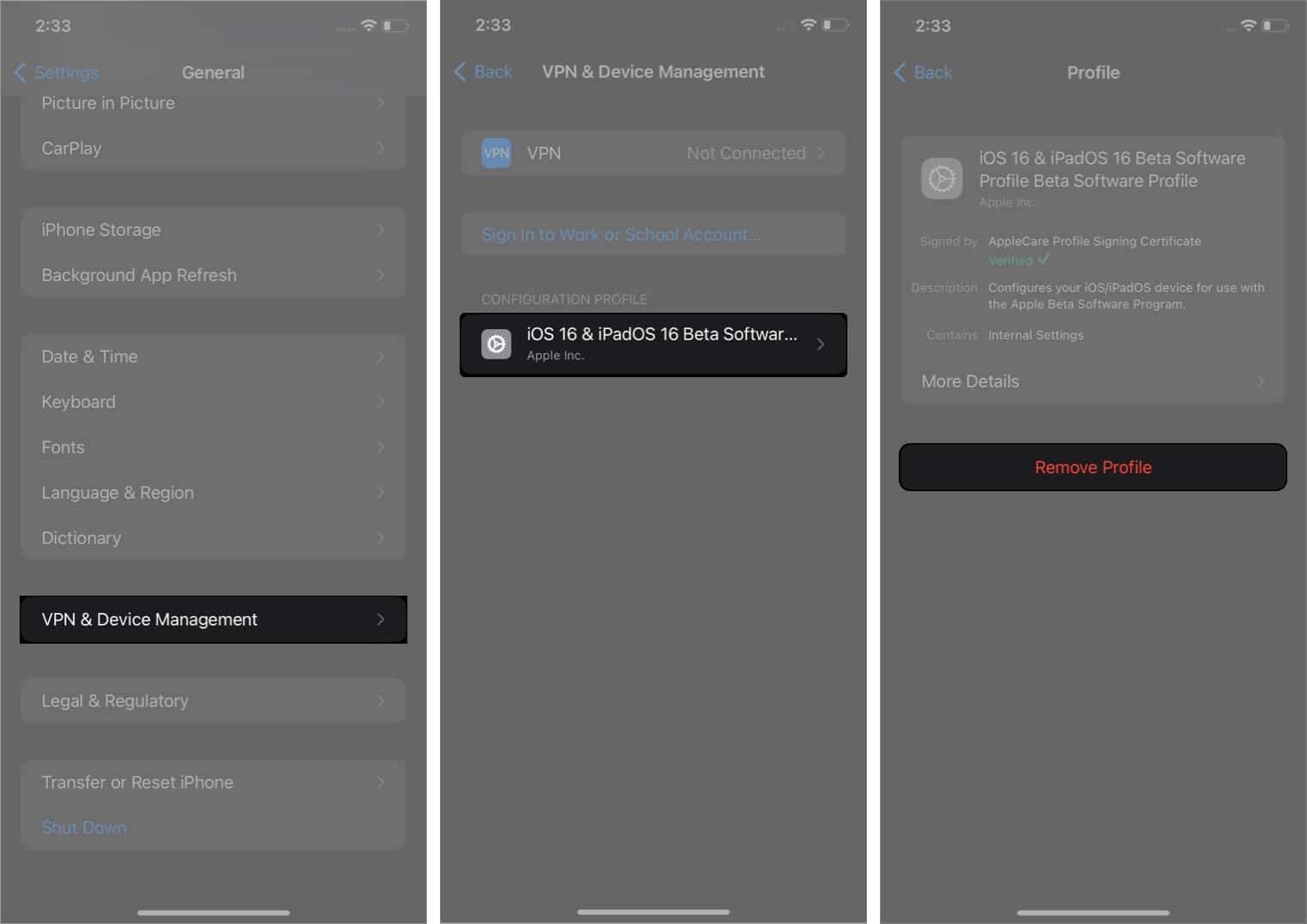 Remove iOS 16 Beta profile on iPhone