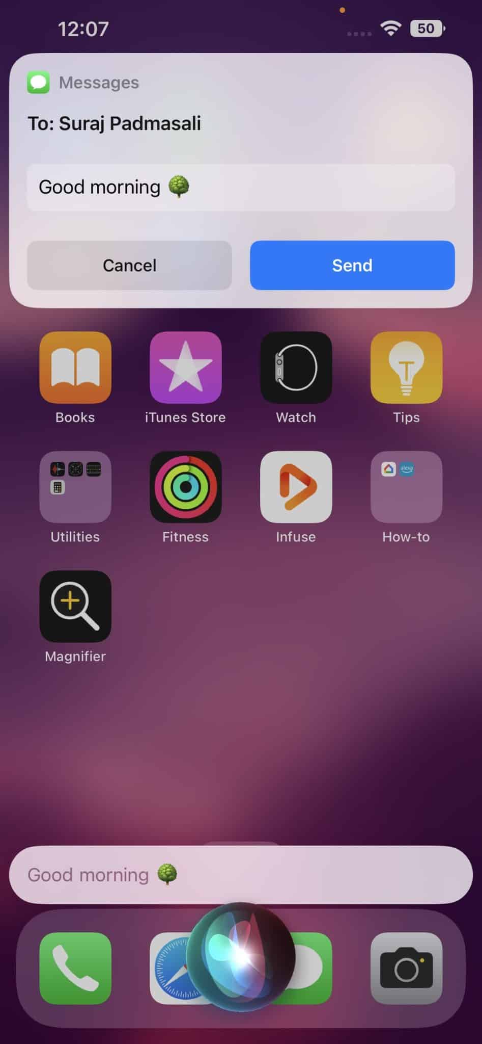 How to use Siri offline on iPhone and iPad - 81