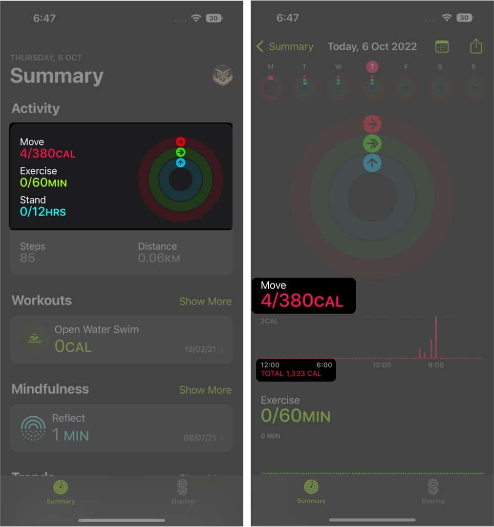 Active and total calories in the Fitness app on an iPhone