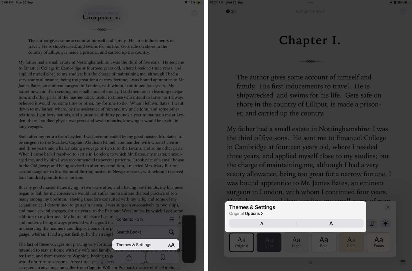 Change Book Font Size On IPad