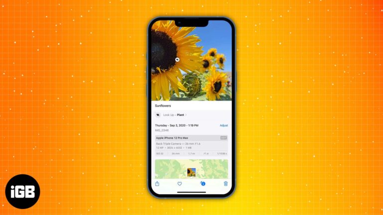 How to add caption to photos and videos on iphone