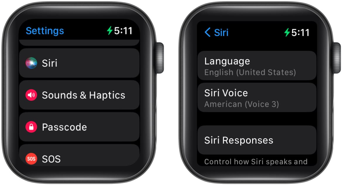 How to change Apple Maps voice on Apple Watch 