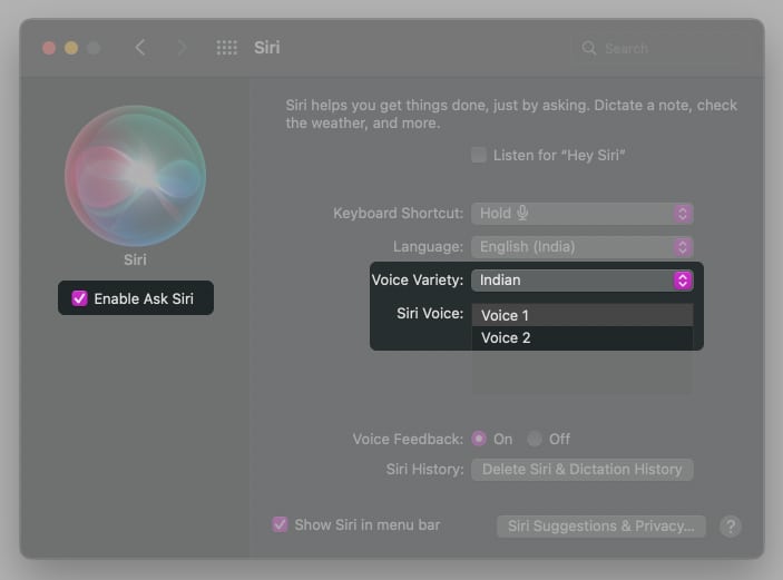 How to change Apple Maps voice on Mac 