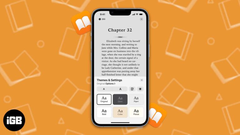 How to customize themes while reading books on iPad and iPhone