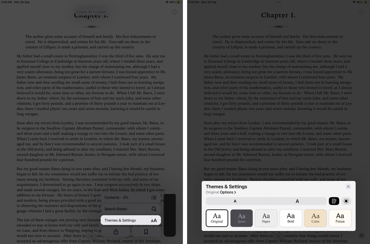 Changing or Adjusting Themes and Settings in iPad Books app