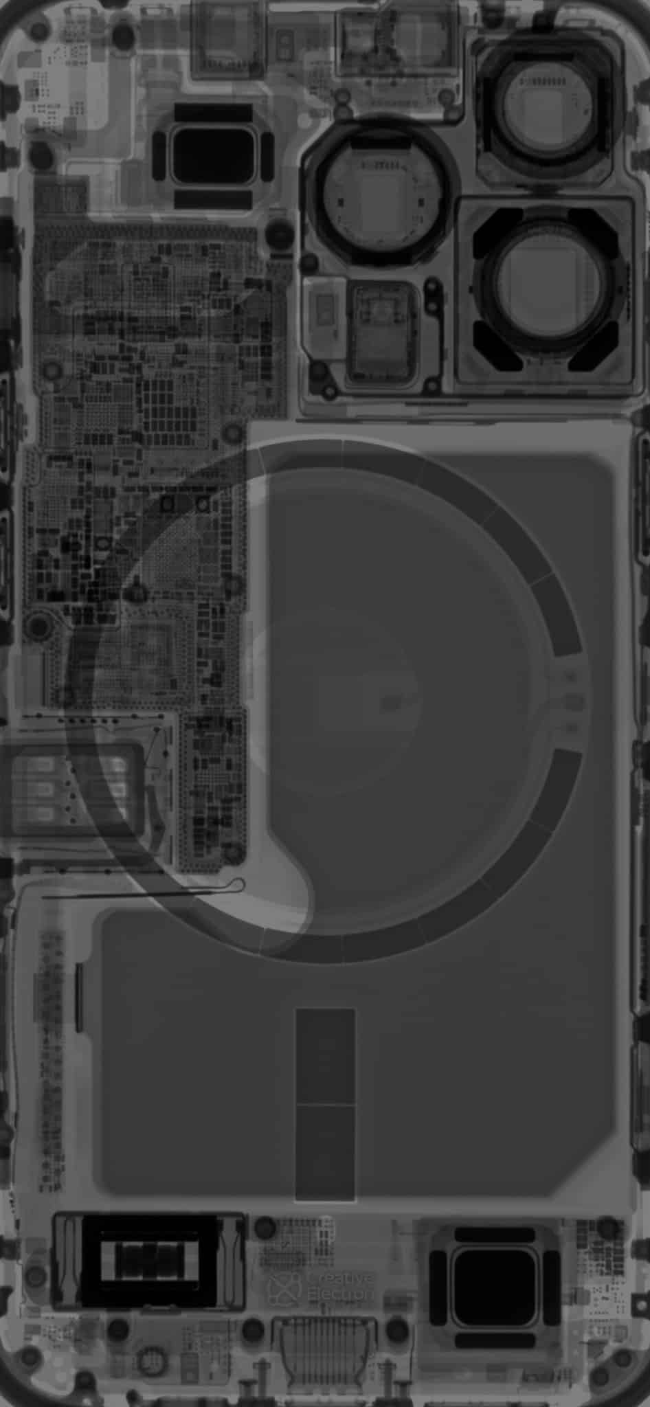 iphone 13 pro xray wallpaper