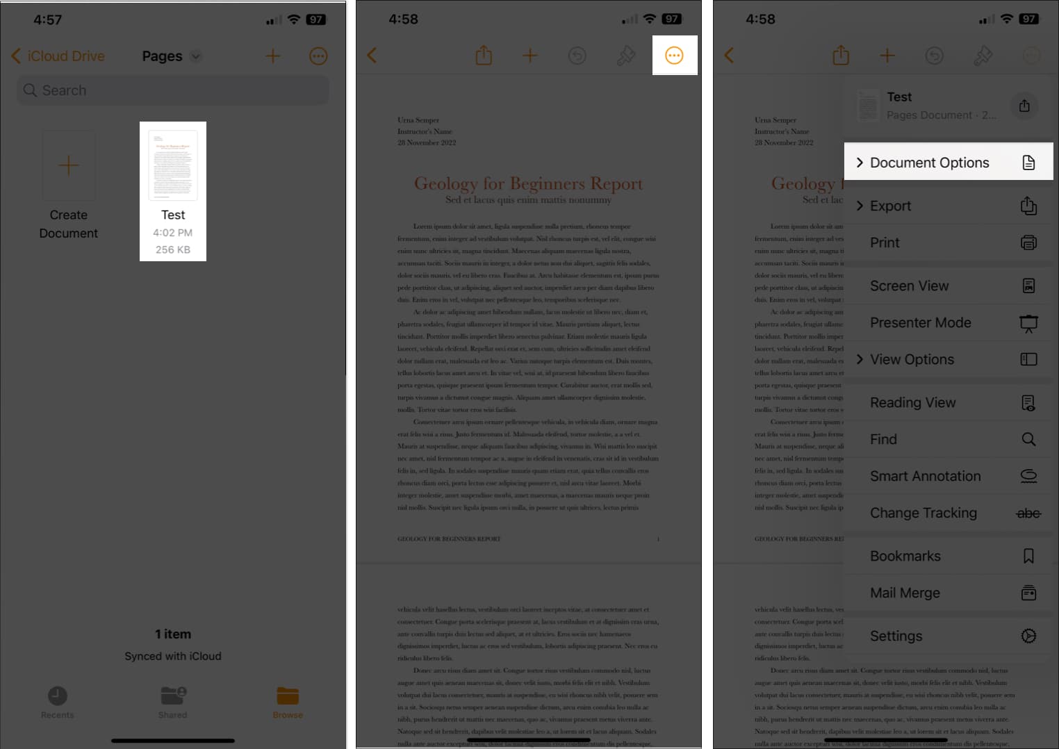Tap Document Options in pages app on iPhone