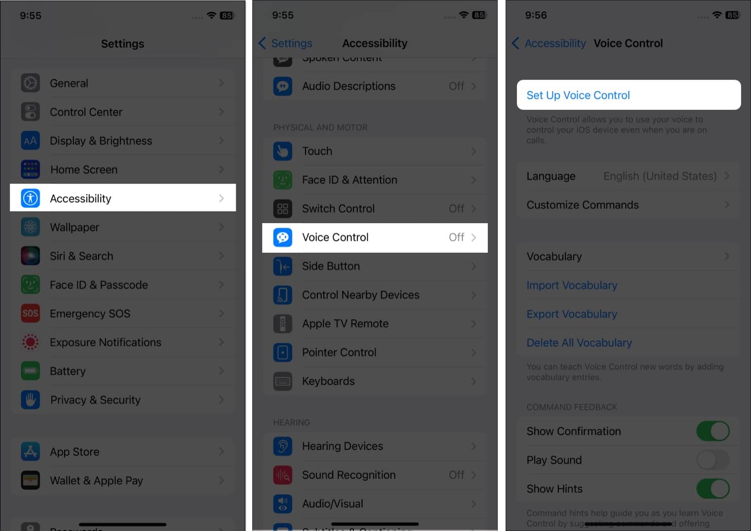 Tap Set Up Voice Control on iPhone