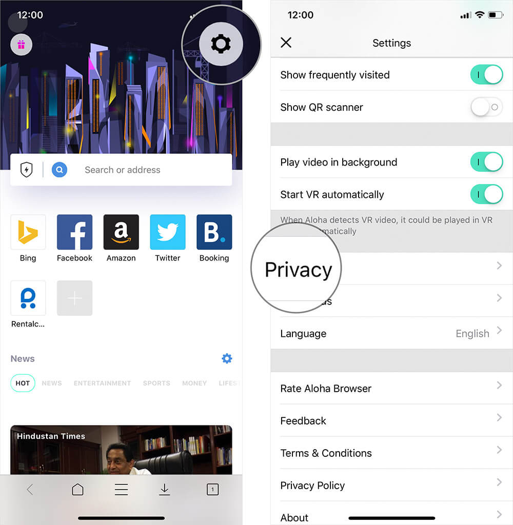 Tap on Settings then Privacy in Aloha Web Browser on iPhone or iPad