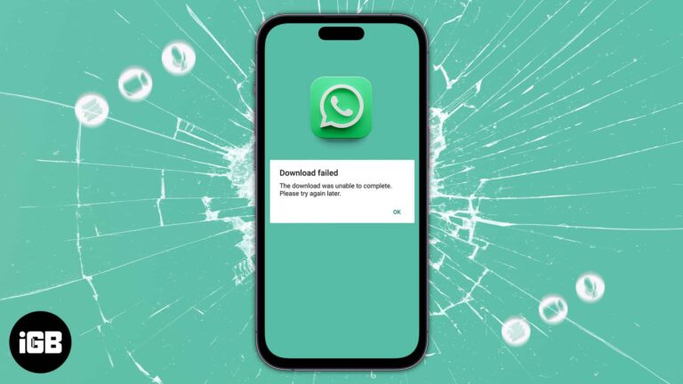 Whatsapp media not downloading on iphone