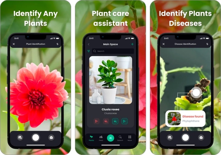 PlantIn: Plant Identifier