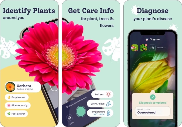 Planty: Plant Identifier, Care