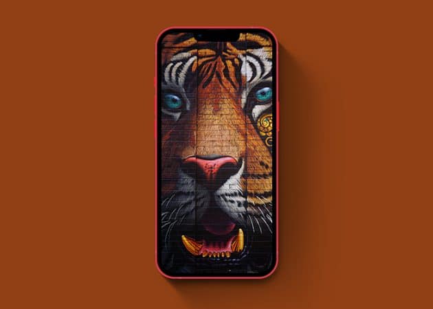 Tiger graffiti wallpaper for iPhone