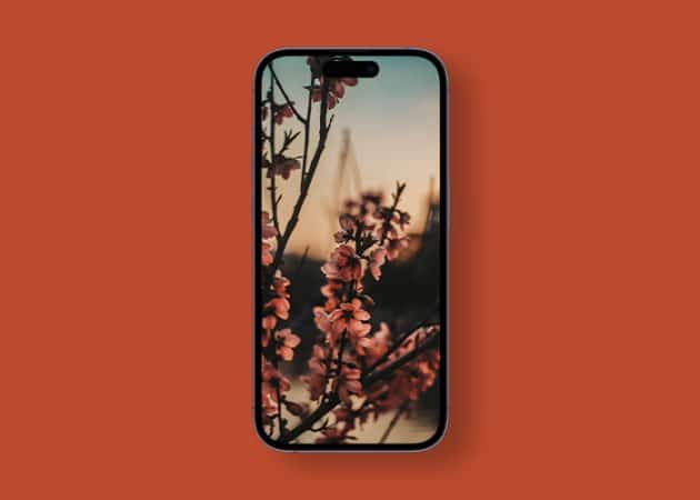 Stunning spring wallpapers for iPhone in 2024  Free download  - 97