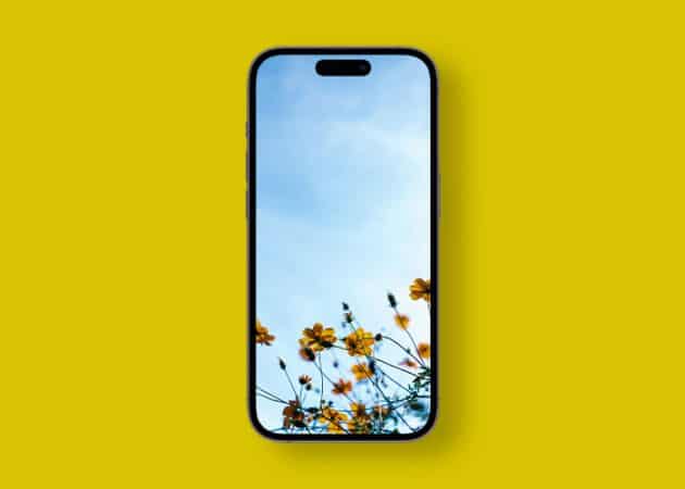 Stunning spring wallpapers for iPhone in 2024  Free download  - 64