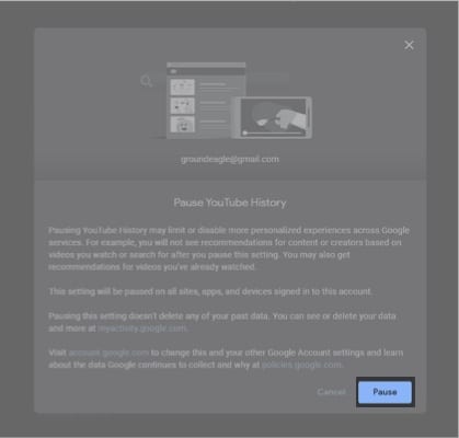 Click Pause on the next screen on Mac