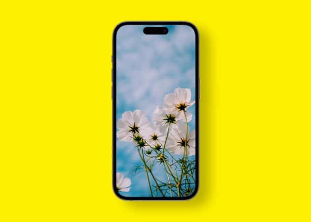 Stunning spring wallpapers for iPhone in 2024  Free download  - 51