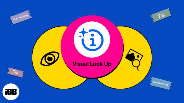 How to fix visual look up not working on iphone