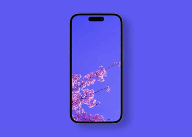 Pink cherry blossom on spring wallpaper 