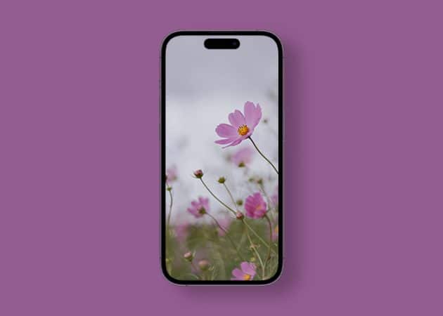 Stunning spring wallpapers for iPhone in 2024  Free download  - 99