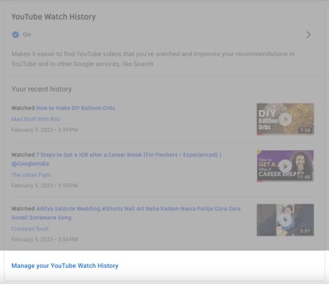 Under YouTube Watch History, click the Manage your YouTube Watch History
