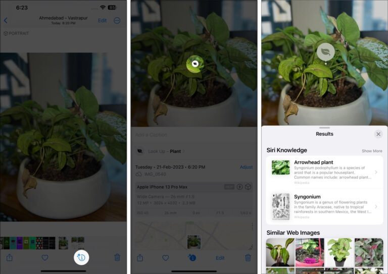 How to use Visual Look Up on iPhone and iPad
