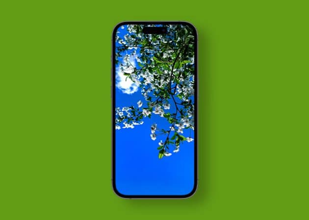 Stunning spring wallpapers for iPhone in 2024  Free download  - 63