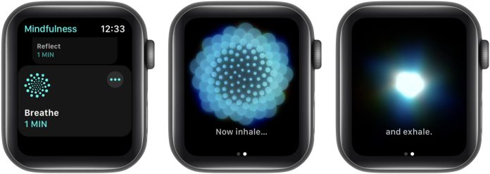 How to measure Heart Rate Variability (HRV) on Apple Watch – iGeeksBlog