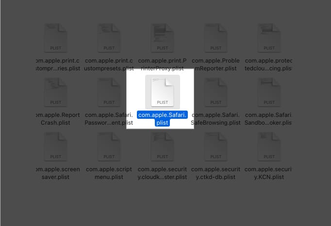 Delete Safari Plist file on Mac