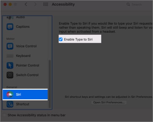 Enable Type to Siri