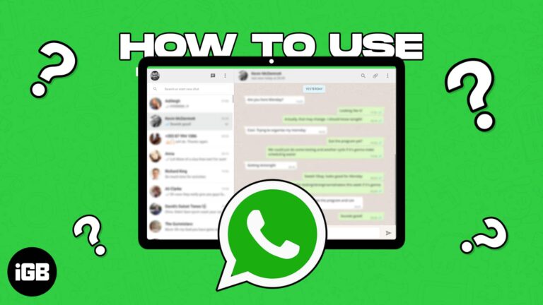 How to use WhatsApp on iPad (2024)